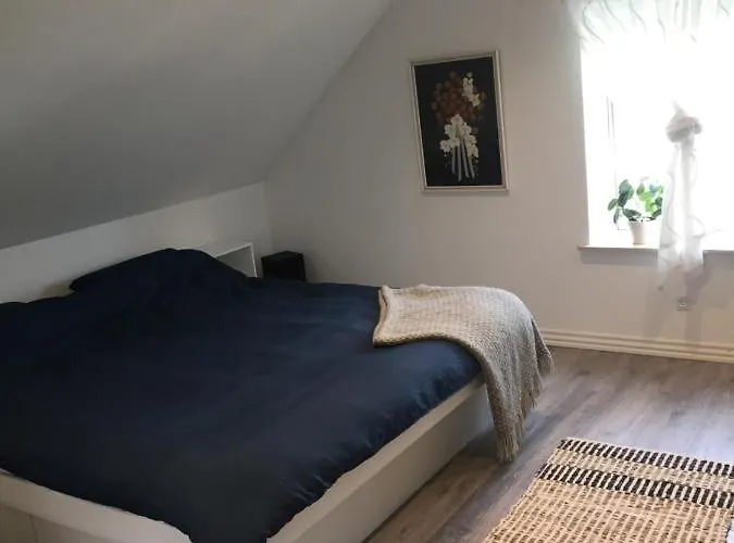 Vv 50 *